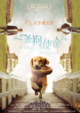 张一彤